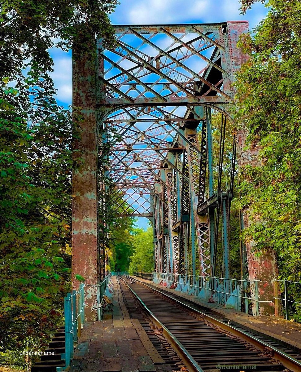 danitahamel's tweet image. QP a photo of train tracks or bridges.

Here’s mine: Both! This train track is a bridge that runs across the Willamette River in my town. 🚂

#traintracks #bridges