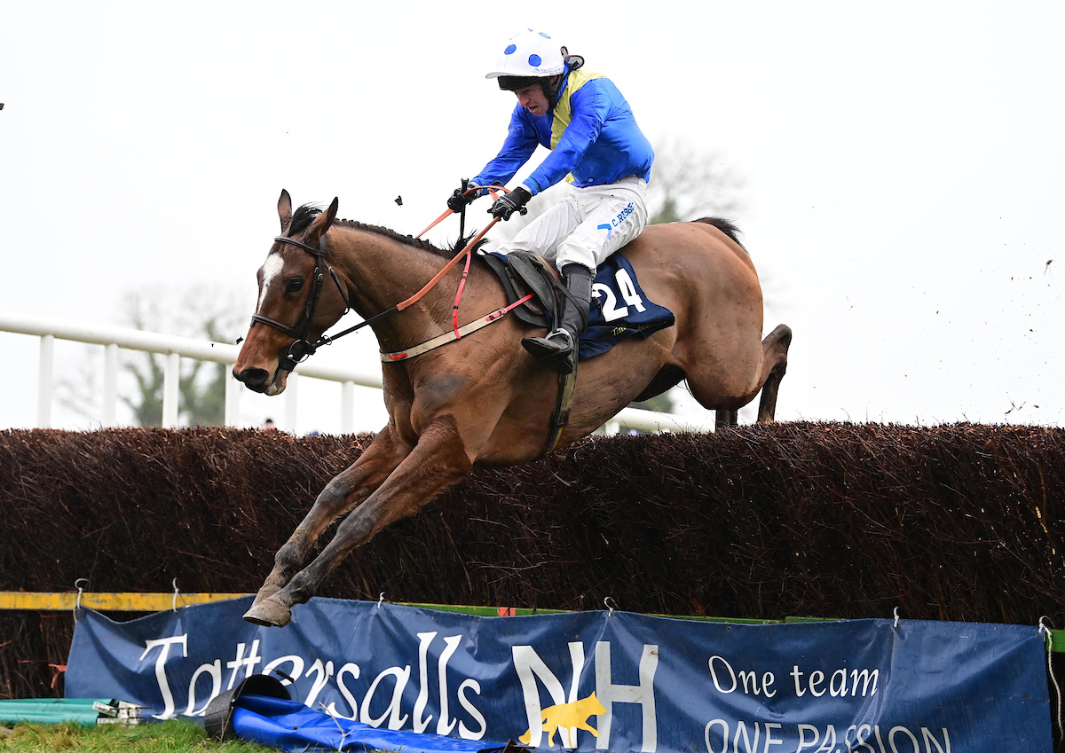 Tattersalls Ireland tweet media