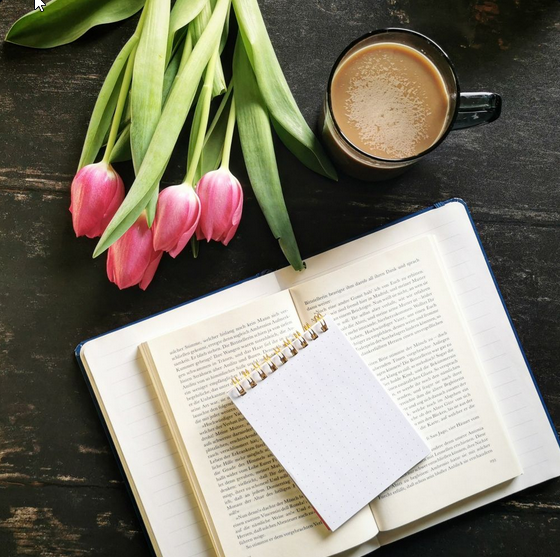 TanjaHanika's tweet photo. Am Montag gibt es was Besonderes: 

Ich werde in meinem Februar-Newsletter einen  allerersten, exklusiven Textschnipsel von Hexenwerk 2 verschicken.

Darin vergnügt sich ein Hexenjäger mit einer Hexe. (Oja,  Interpretationsspielraum. ^^)

Anmeldung unter: https://t.co/8D430BOYjv https://t.co/GAlIBmQ7CO