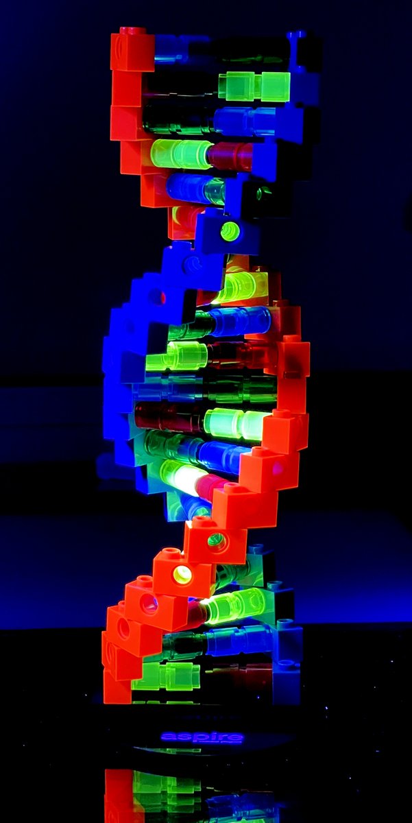 erin_rod_phd's tweet photo. 💥🧬My Aspire Program DNA is fluorescent!🧬💥
You can get your DNA Helix Building Set now with the ThermoFIsher Aspire Program.
@ThermoFisher @AspireMembers #AspireMemberProgram https://t.co/s5Rp0uXdwH