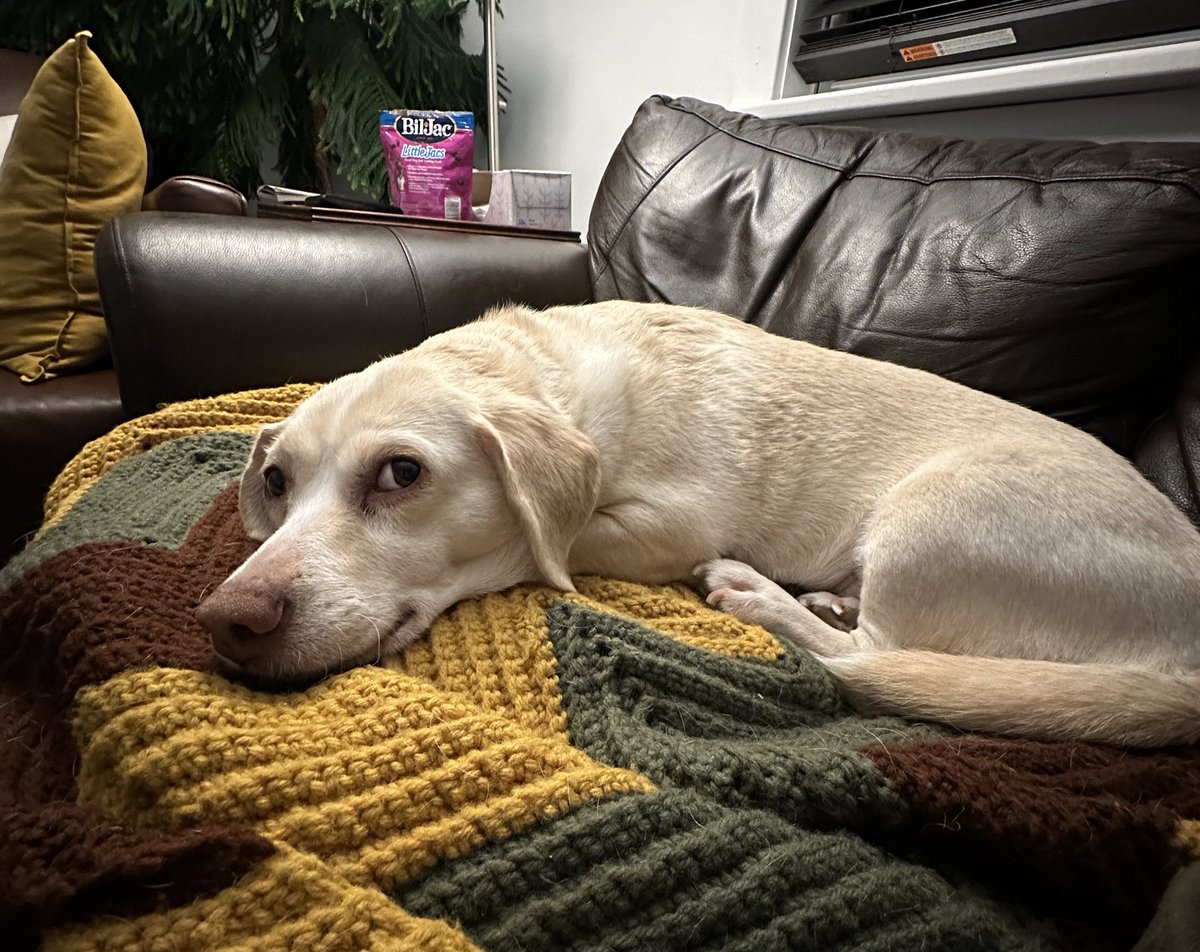 Seth Duin tweet media