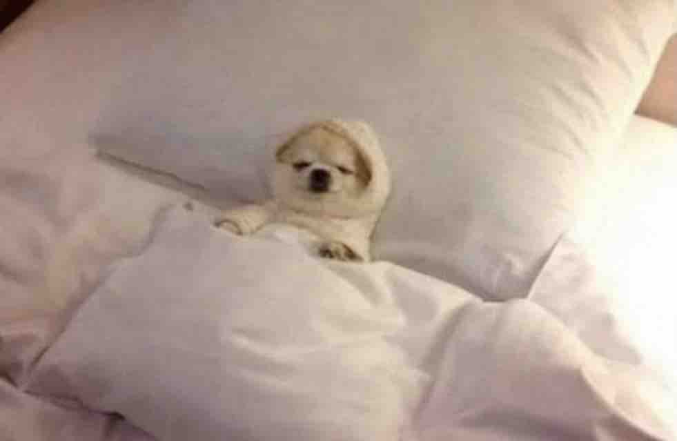 Guarromantico_'s tweet photo. Yo: Voy a divertirme en mis días libres

Yo en mis días libres: https://t.co/NzA0o83iLI