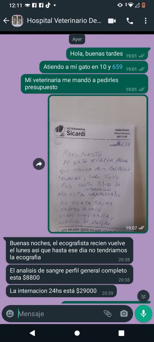 mariaaefe83's tweet photo. Necesito $107.300 p internar y hacerle fluidoterapia a Luis x 3 dias, eco p ver nivel d daño d tejido renal y laboratorio post tratamiento. Todo lo ambulatorio en lo que me gasté toda la guita q tenía no alcanzó.
Alias: agos.joa
 A quien quiera y pueda colaborar. Gracias https://t.co/4o43zy5iBa