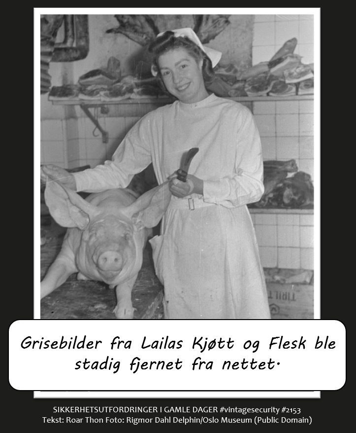 Ikke legg ut grisebilder på nett. Forstå i det minste risikoen ved å gjøre det!

#vintagesecurity #infosec #sikkerhet #humor #ironi