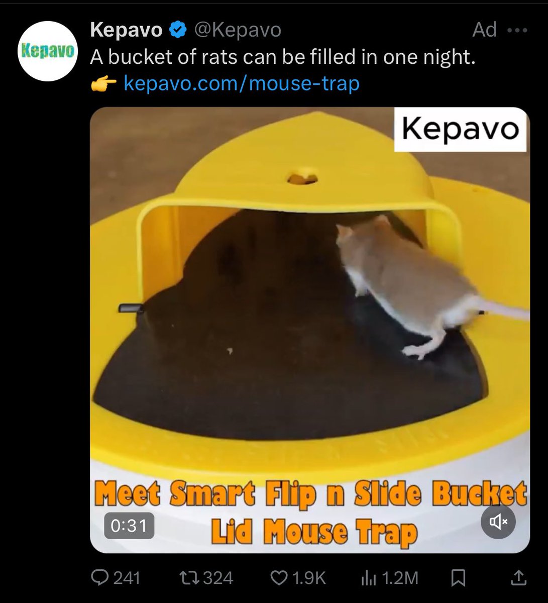 A bucket of rats can be filled in one night.