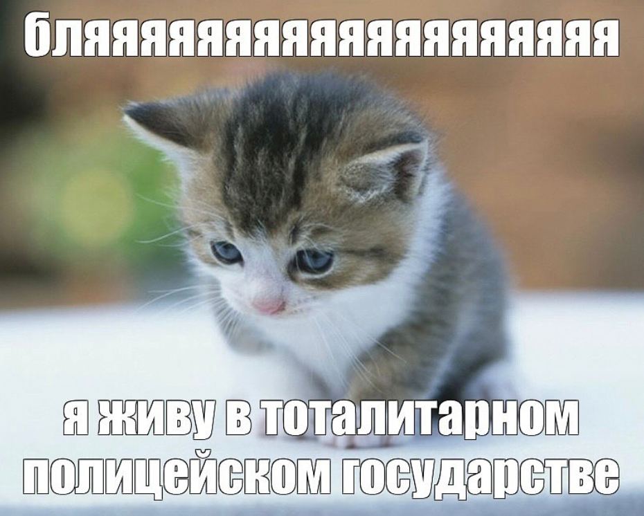 vereskzhizha's tweet photo. https://t.co/qFLZXqbdtW