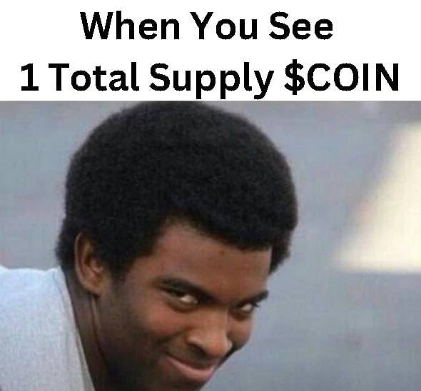 <a href="/blknoiz06/">Ansem</a> We told you to buy the $coin with one supply on $sol