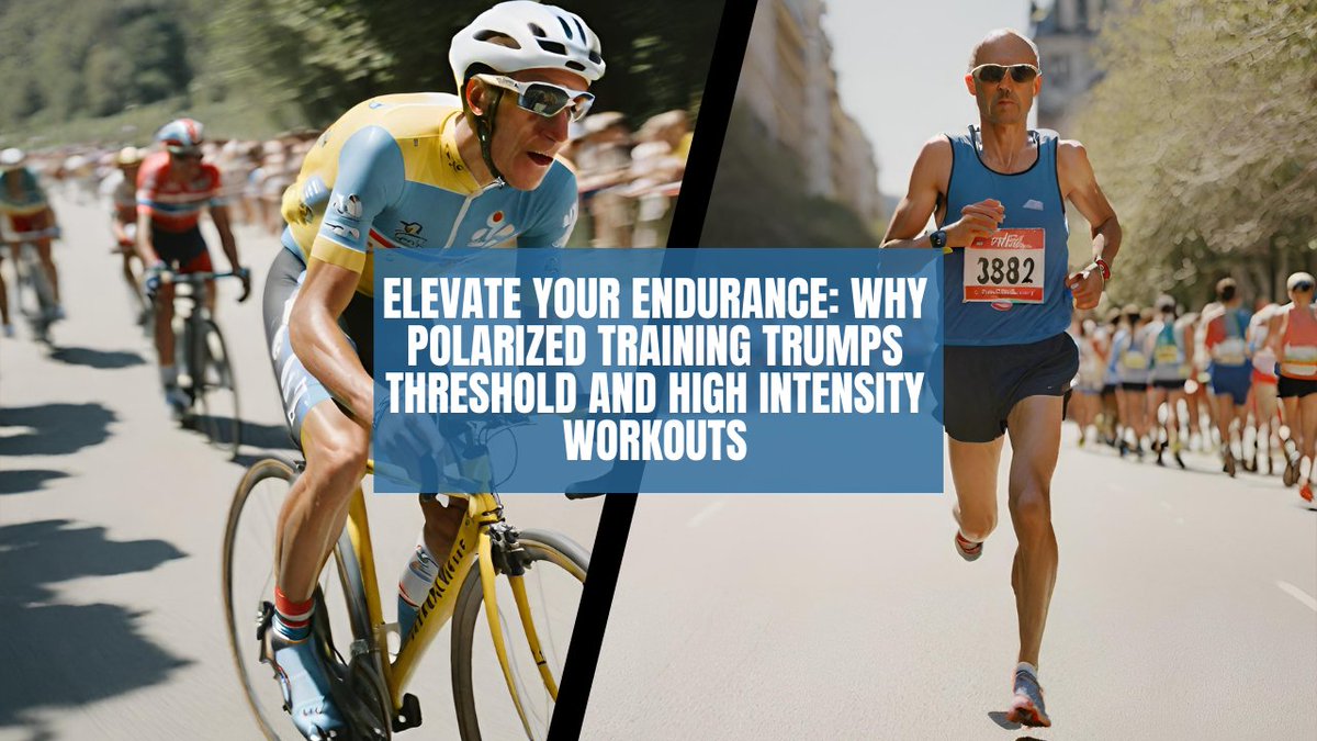 Elite Performance NI Education tweet media