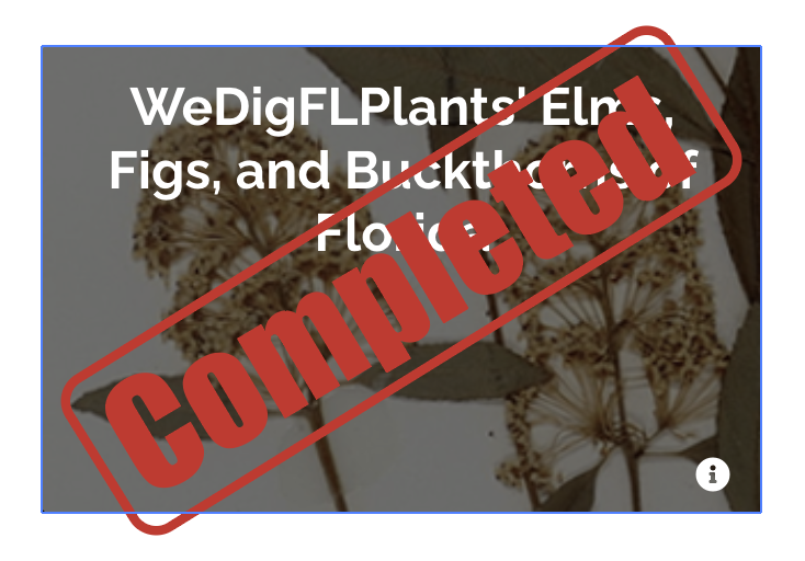 WeDigFLPlants tweet media