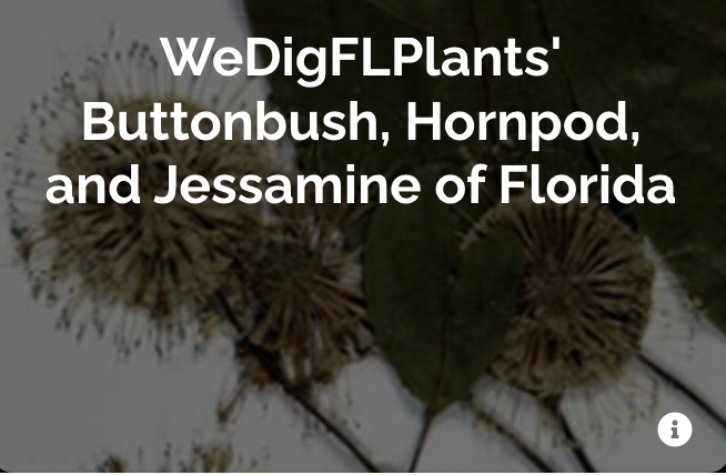 WeDigFLPlants tweet media