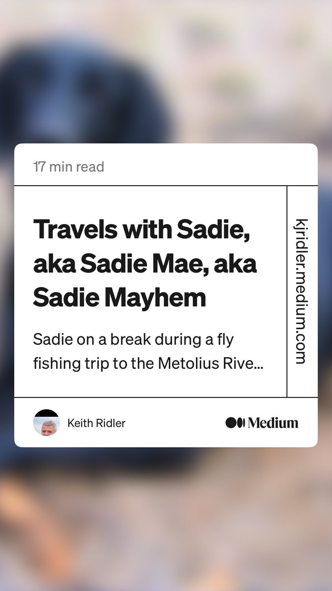 Keith Ridler tweet media