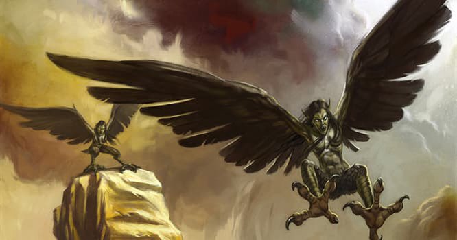 Merlin D. Wizard 🐸🔮 tweet media