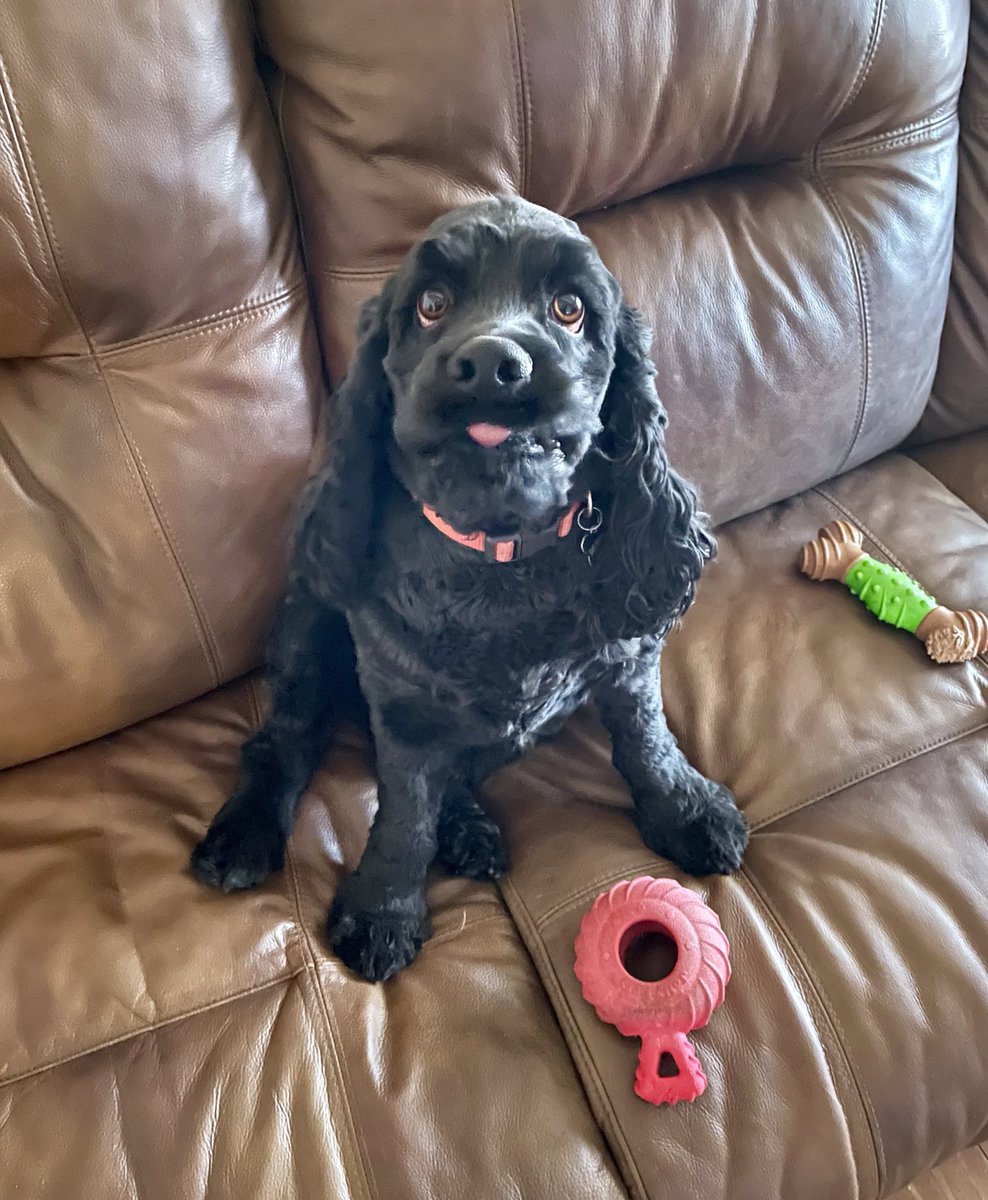 Katy Stephens tweet media