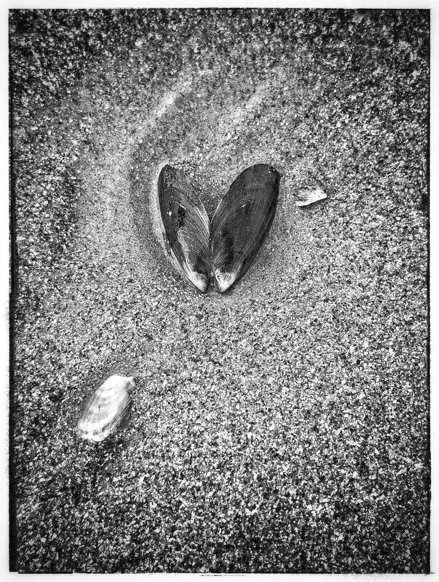 Keith Moss tweet media