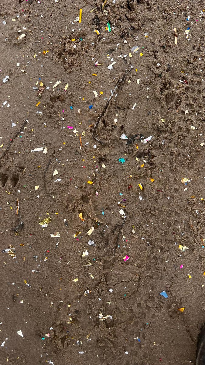 Kunstwerk? NEE, asocialen die een ballon met geplastificeerde rommel laten klappen in een natuurgebied. Voer voor vis en vogel helaas. #doehetbinnen #doehetniet