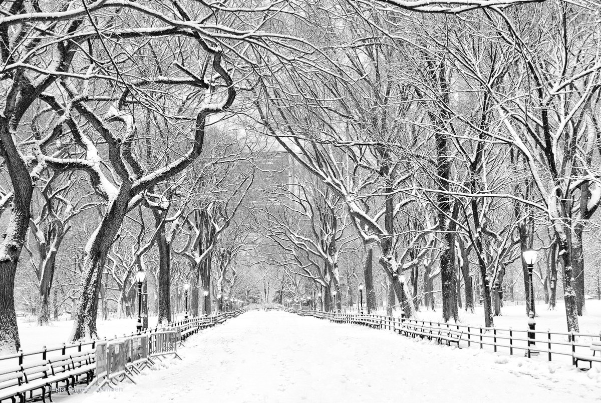 isardasorensen's tweet photo. Central Park was looking lovely during today’s fresh new snowfall in #NYC. #NewYork #NewYorkCity #snow https://t.co/ySrapOgSyZ