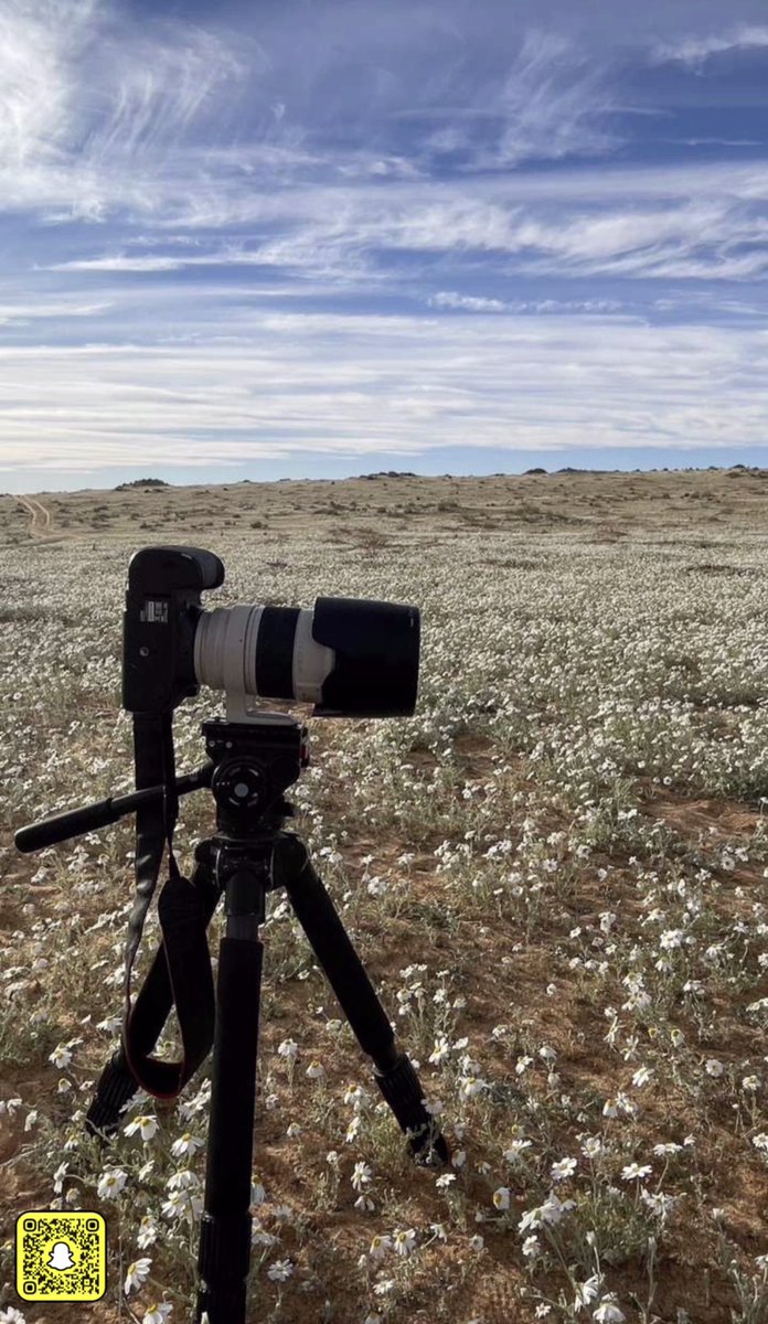 أسعد الله مسائكم بكل خير 
حبران شمال غرب #حائل عصر اليوم