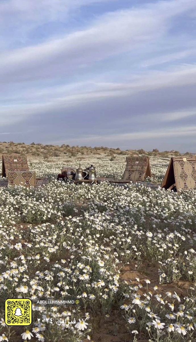 عبدالله محمد الحربي tweet media
