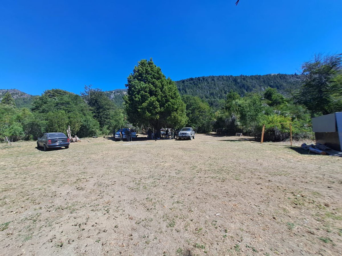 Luis Petri tweet media