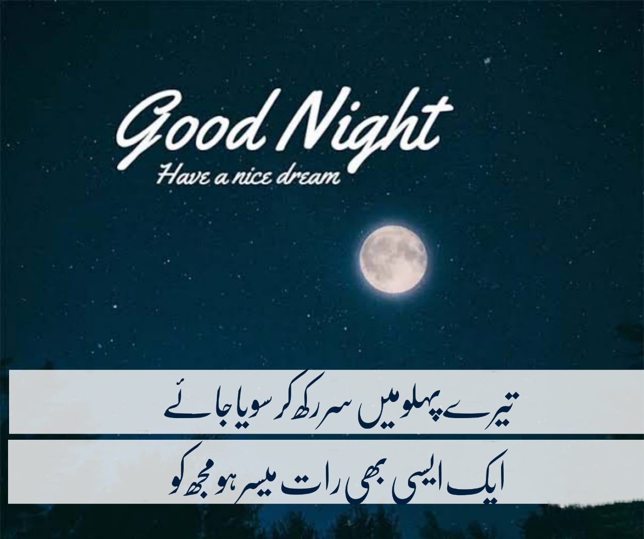 Good Night Urdu Quotes Good Night