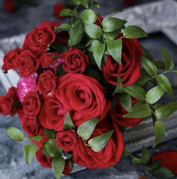 مۡسَـاالخير