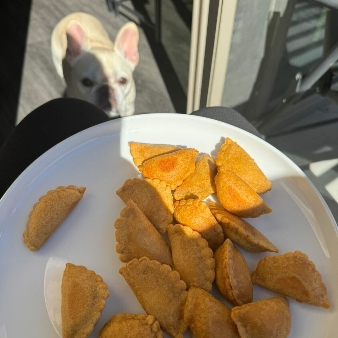 ahhhhhhhhhhhhhhhh Saturday snacks 🍕 🐶