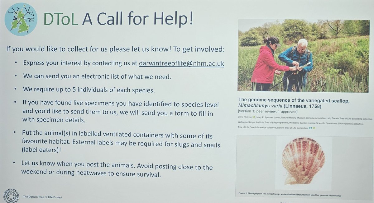 tin_wilson's tweet photo. A change from the norm. @cemfle talks on the @darwintreelife project funded by @sangerinstitute for @conchsoc at @NHM_London @NHM_Science showcasing all the hard work done since 2020. They need help to gather more species so get in touch to help! #genome #science #molluscs #dtol https://t.co/U2dEXrtssz
