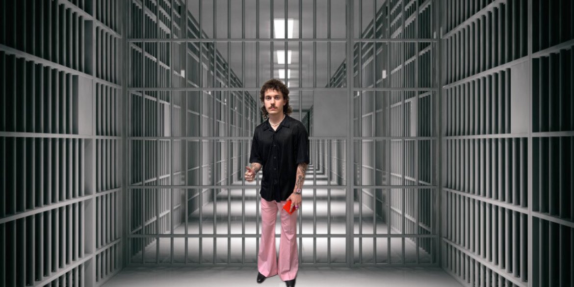 🪲🎸 tweet media