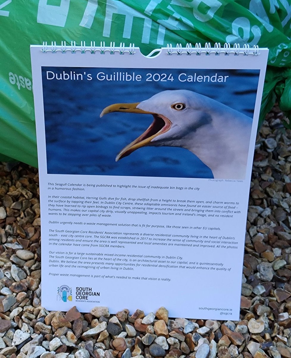 Good to see that our lighthearted seagull calendar is helping shift the conversation on how waste is collected in the city - moving us towards ending the era of flimsy bin bags on Dublin's streets that seagulls can rip open.