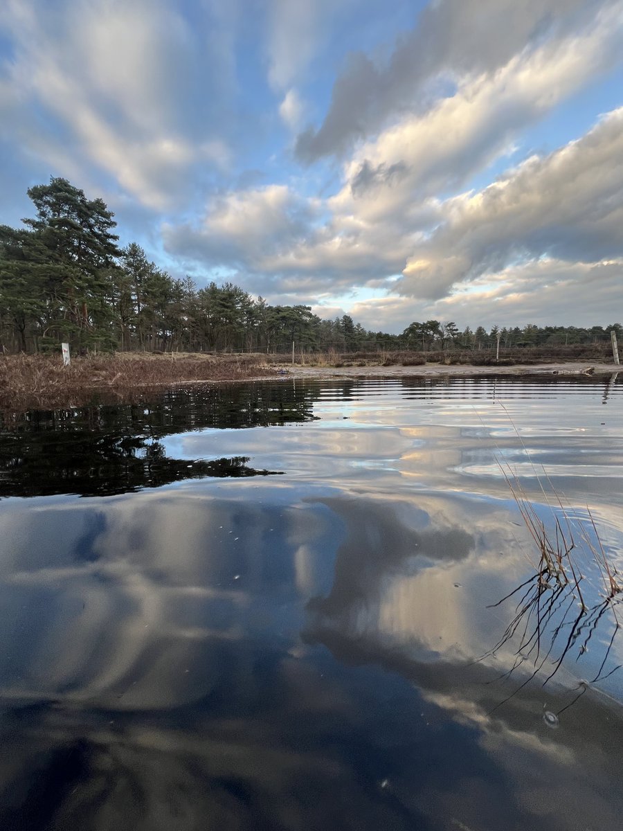 #Langven #gemeentebest vandaag en de komende tijd “Breedven”. Groet namens 4 bokjes, 6 wilde eenden, 2 kraaien en één hydroloog 😉. #natuurherstel.