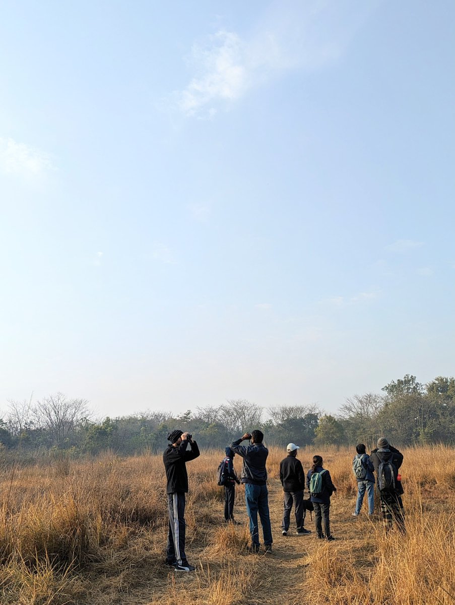 wii_eiacp's tweet photo. 🌟 Day 2 of Campus Bird Count at Wildlife Institute of India: Our feathered community is spreading its wings! 155 species from our campus, while the state tally hits 360. The air is alive with fluttering excitement! Stay tuned for more avian adventures. 🐦✨ #BirdCount #GBBC24 https://t.co/c1M4YZJ5tZ