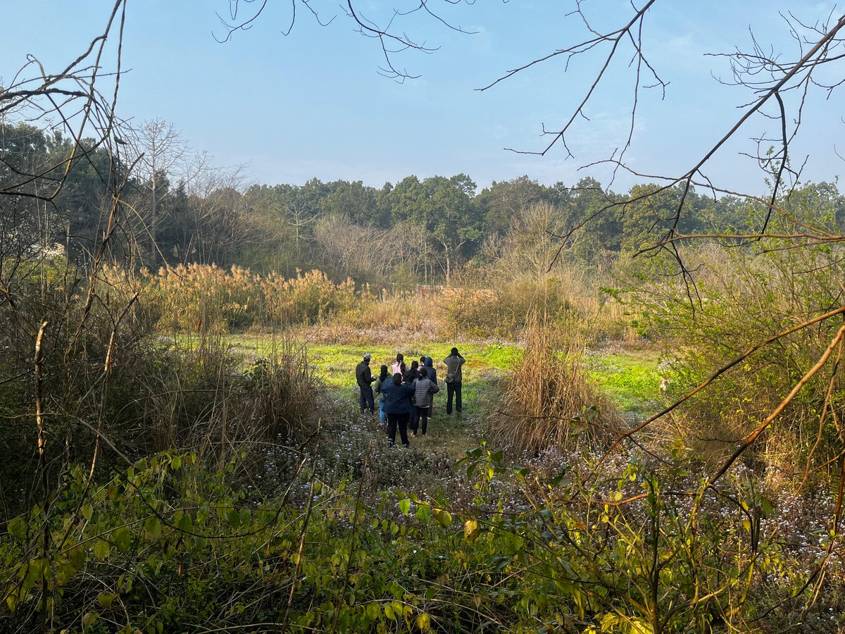 wii_eiacp's tweet photo. 🌟 Day 2 of Campus Bird Count at Wildlife Institute of India: Our feathered community is spreading its wings! 155 species from our campus, while the state tally hits 360. The air is alive with fluttering excitement! Stay tuned for more avian adventures. 🐦✨ #BirdCount #GBBC24 https://t.co/c1M4YZJ5tZ