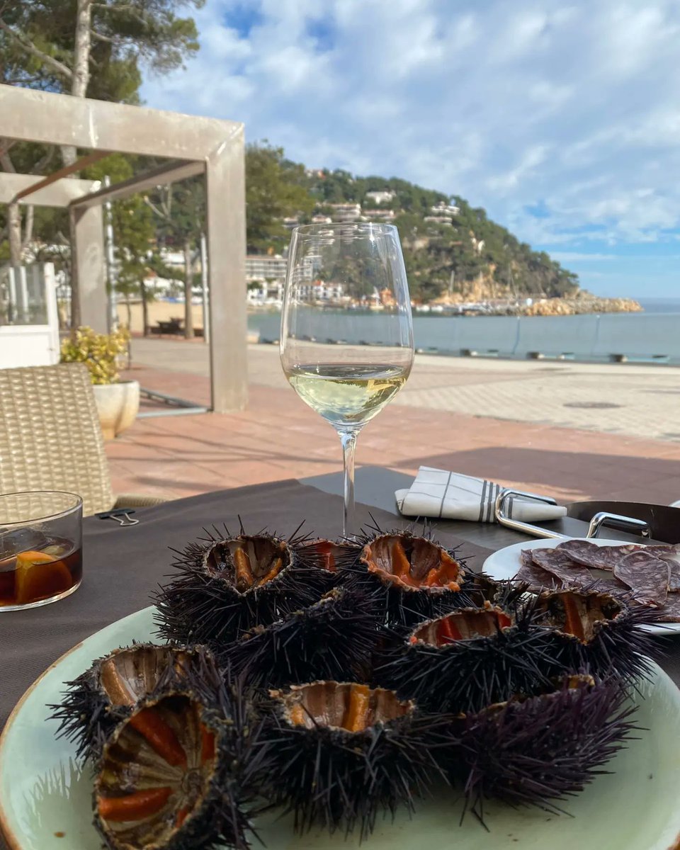 rac1manat's tweet photo. 🔴 SORTEGEM un menú per a 2 persones a La Garoinada de Palafrugell (@ipeppalafrugell)
Per participar IMPRESCINDIBLE👇
➡️ Seguir @viatjab, fer RT d'aquest missatge
➡️ I ETIQUETAR amb qui hi anireu si us toca el premi.
El proper dissabte farem el sorteig. Molta sort a tothom‼️ https://t.co/IIYdaH2ykb