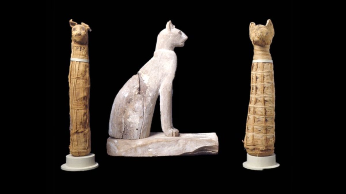The ancient Egyptians loved their cats as much as we do! This white wooden coffin lifts off its base so that the mummy can be inserted. (This piece is from the Late Ptolemaic period and is approximately 1.5 feet tall.) 💕🐈‍⬛🐈