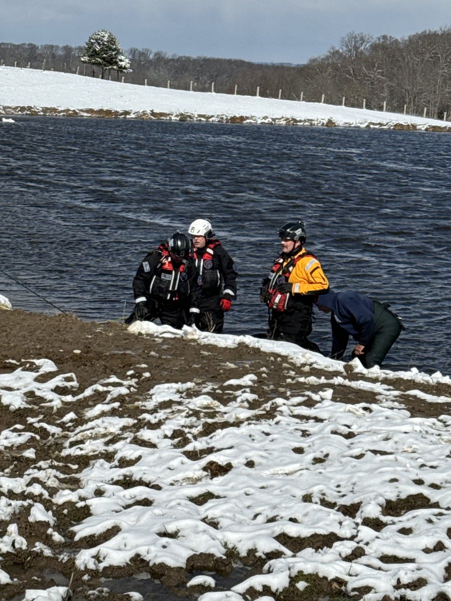 HarforCoFireEMS's tweet photo. Volunteer Firefighters from @LevelVfc, Volunteer Swift Water Rescue Team, &amp; @HarfordCoDES Special Operations Team are on scene of a cow that is stuck in a pond in the 3900 block of Rock Run Road, #HavreDeGraceMD. Rescuers are developing a plan to get Betsy safely back on dry land https://t.co/G5aHXfjg3f