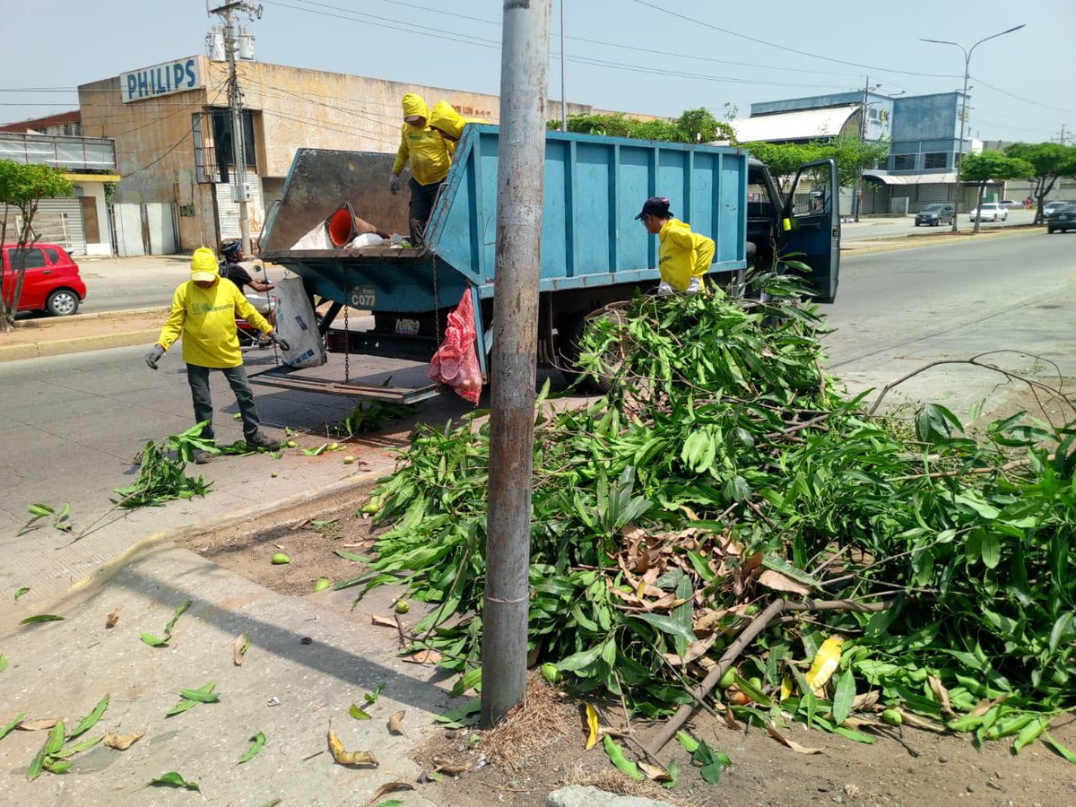 imamaracaibo_'s tweet photo. Seguimos avanzando en la meta de alcanzar a la #Maracaibo que todos queremos y merecemos, una Ciudad, Limpia, Verde, Sostenible, de Futuro y con un ambiente sano. 

#CosntruyundoSoluciosnes 🔆 https://t.co/jtTenyJhwo