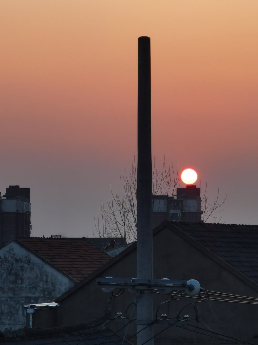 呜呼，最爱咸蛋黄