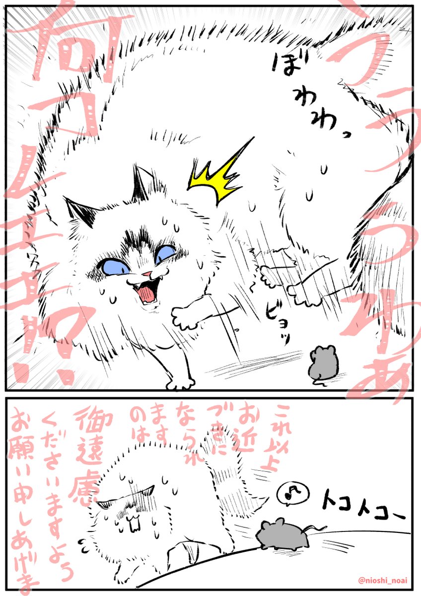 ていねいな ねこ 3
#猫
#漫画が読めるハッシュタグ 