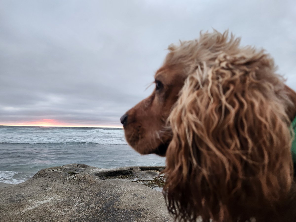 Last night in La Jolla