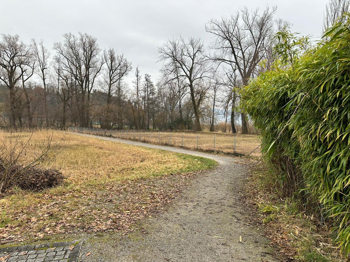 UferiniNein's tweet photo. Bereits heute gibt es viele öffentliche Zugänge zum See- im Beispiel Bilder aus den Gemeinden Stäfa und Männedorf, die uns zugesandt wurden. Eine teure Uferinitiative braucht es nicht.

#züriseegnüsse
#uferinitiativenein https://t.co/IGIb5EPtnX