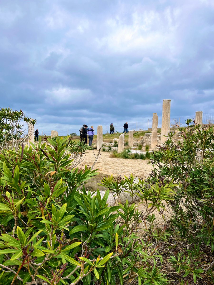 Rebecca Levitan tweet media