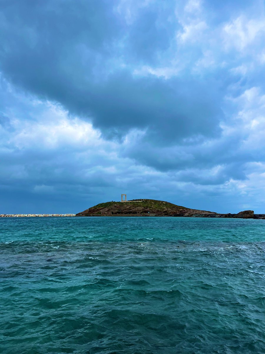 Rebecca Levitan tweet media