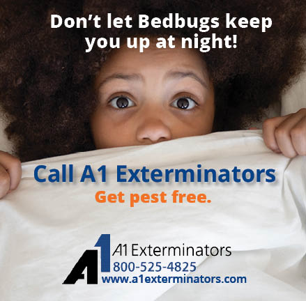 🛌🐜 Bed bugs?! 2024, what else do you have in store?

Not to fear, A1 Exterminators has tackled thousands of bed bug battles and won. 🥇🔥

Learn more about we get you pest-free.
👉 a1exterminators.com/bed-bug-pest-c…

#a1exterminators #bedbugs #bedbugcontrol #dontletthebedbugsbite