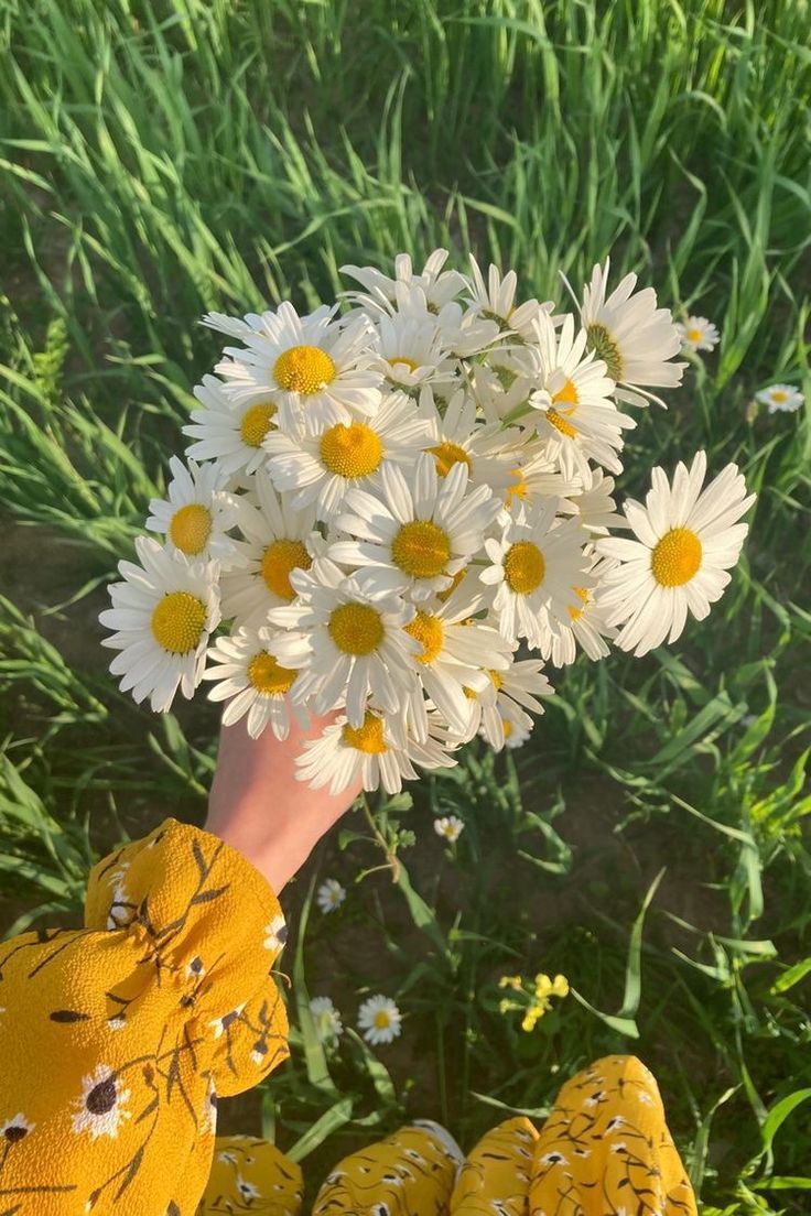 𝐂𝐨𝐧𝐟𝐢𝐝𝐞𝐧𝐜𝐞𝐬 (@amnesiaabsurda) on Twitter photo 