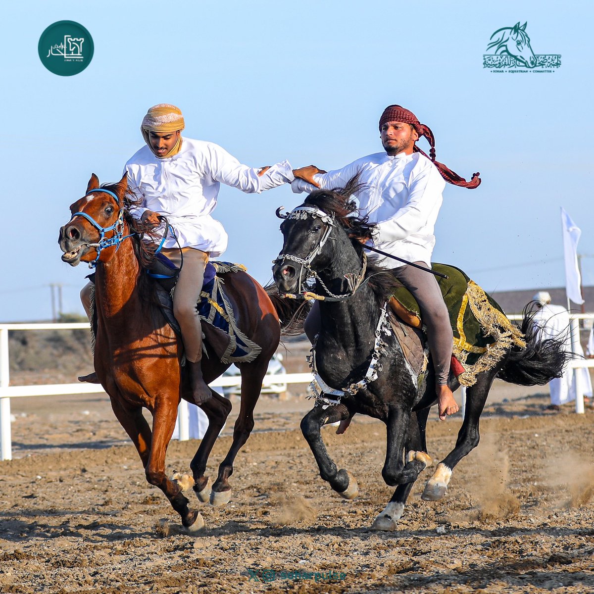 soharpulse's tweet image. تحت رعاية معالي/عبدالسلام بن محمد المرشدي
 رئيس جهاز الاستثمار العُماني 
اقامت لجنة صُحار للفروسية مهرجان الخيل التقليدي الجمعة الموافق 16-2-2024م
بميدان صُحار للفروسية بمنطقة مويلح بدعم من سعادة خالد بن سلطان الجابري الدرعي عضو مجلس الشورى بولاية صُحار

#مهرجان_الخيل
#صحار