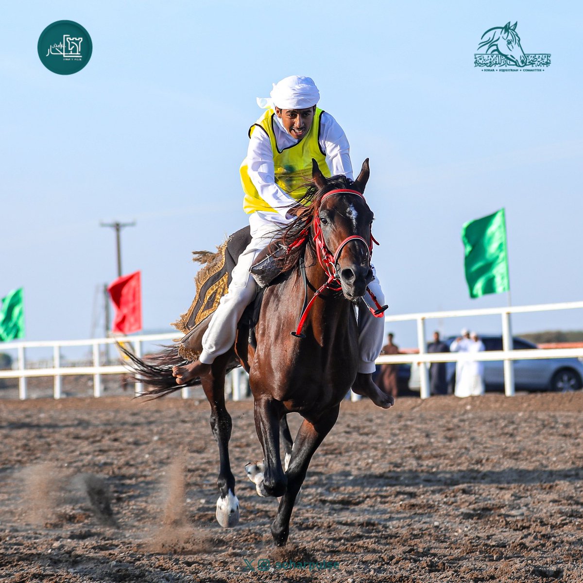 soharpulse's tweet image. #مهرجان_الخيل