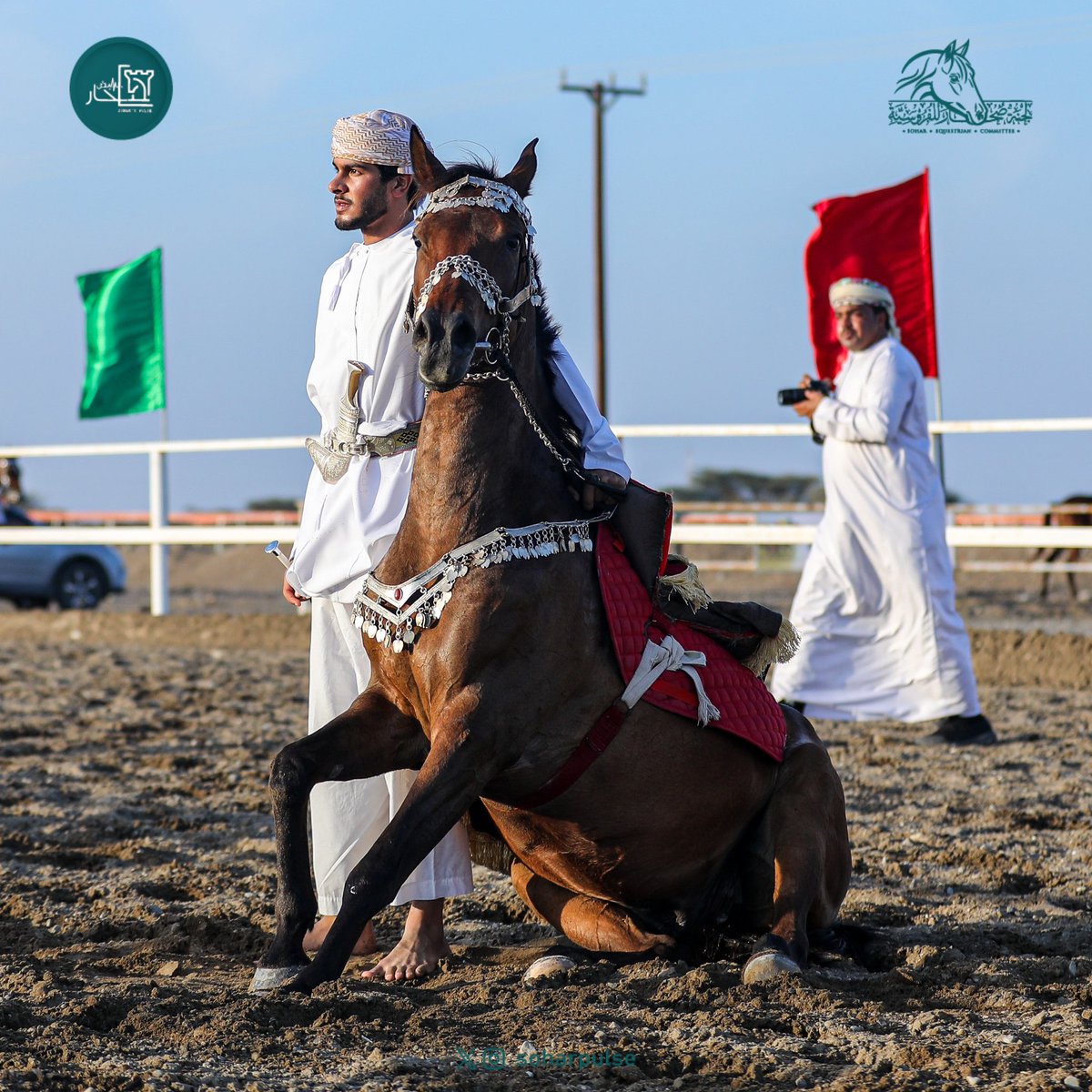 soharpulse's tweet image. #مهرجان_الخيل