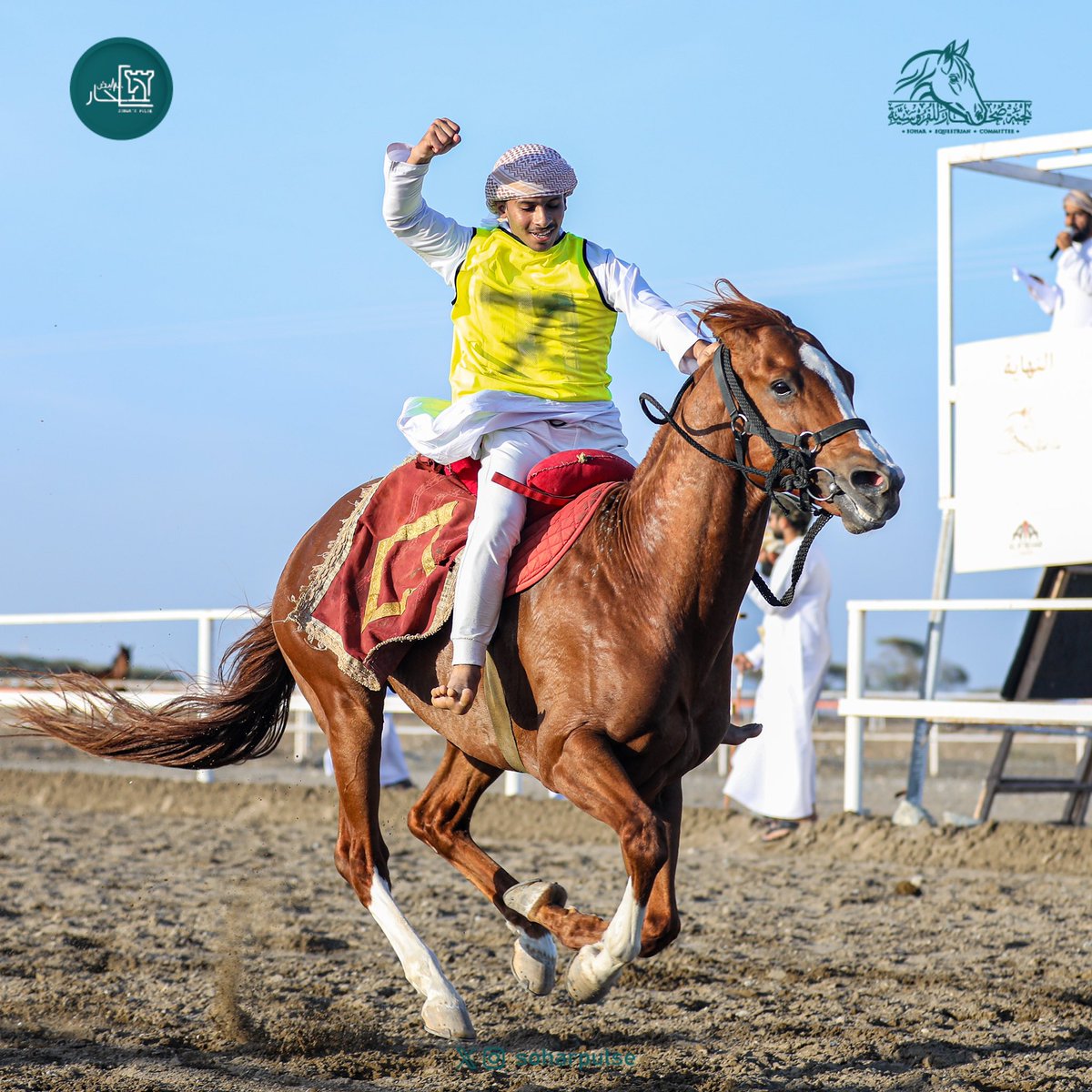 soharpulse's tweet image. #مهرجان_الخيل