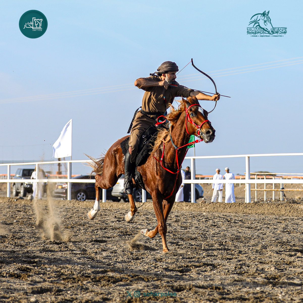soharpulse's tweet image. #مهرجان_الخيل
