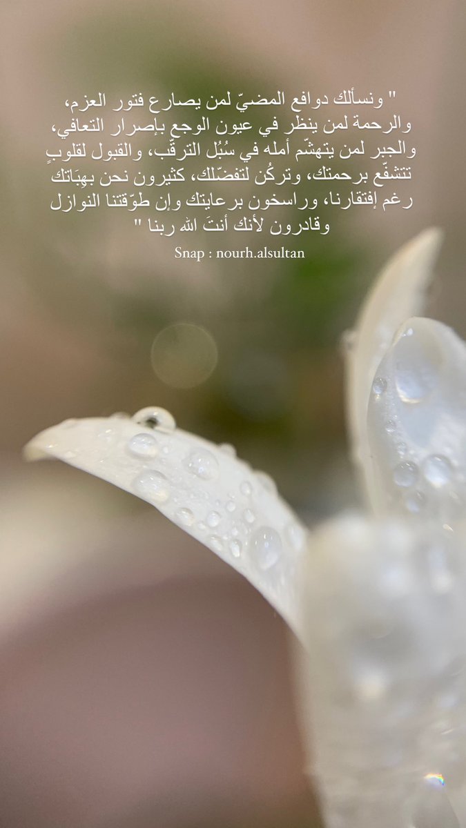 NourhOthman's tweet photo. لأنك أنت #الله ربنا 🤍 https://t.co/A7fI6L9HAo